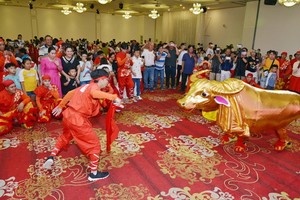 金牛賀歲節目吸引眾人圍觀。