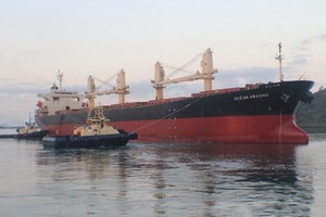 OCEAN AMAZING號貨輪。（示意圖源：互聯網）