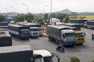 2月24日早，數十輛越柬卡車停在雙方邊境國際口岸附近等待通關。（圖源：寶斗）