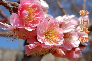 （示意圖源：互聯網） 