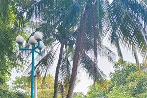 我愛上富林公園晨運