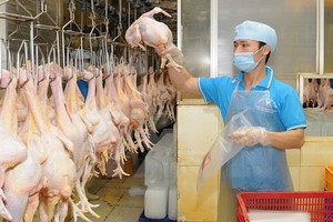 （示意圖源：互聯網） 