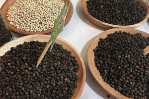 （示意圖源：互聯網） 