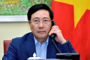 政府副總理、外交部長范平明。（圖源：VTC News）