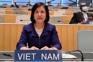 越南常駐聯合國代表團團長黎氏雪梅大使。（圖源：越通社）
