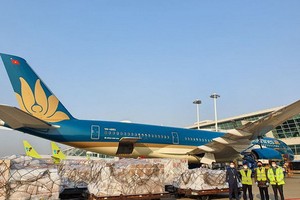 越南航空公司最近建議，從本月15日起免費運輸500萬劑新冠肺炎疫苗。（圖源：清安）