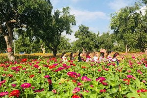 （示意圖源：互聯網） 