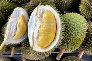 （示意圖源：互聯網） 