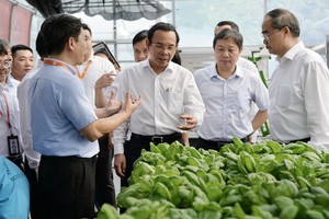 市委書記阮文年參觀光中軟件園區。