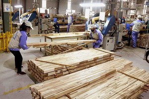 圖為WOODSLAND股份公司的木器加工車間。（圖源：武生）