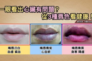 （圖源：互聯網） 