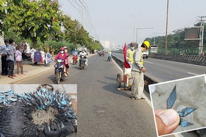 職能力量2月初期間採用自造的磁鐵盒在１號國道上吸到的一大堆菱形釘子（小圖所示）。