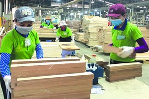 本市中小企業獲輔助恢復產銷活動。
