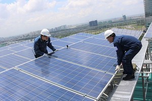 （圖源：瓊珍） 