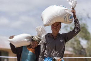 馬達加斯加南部因乾旱與飢餓而流離失所的百姓。（圖源：聯合國糧農組織）