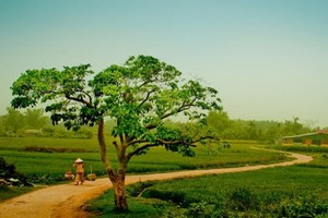 （示意圖源：互聯網） 