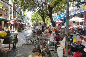 小商販在舊邑郡阮文功街上出售活家禽。