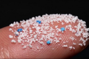 塑料微粒就是不到5微米、極為細小的塑料顆粒，一般作為工業生產原料。不過處理塑料垃圾、洗衣和車輛行駛過程中也會產生塑料微粒。（圖源：CR Photo）