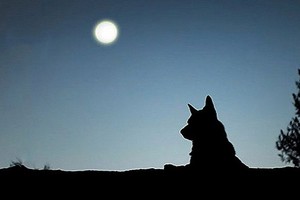 （示意圖源：互聯網） 