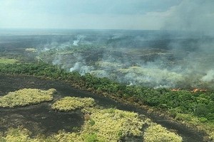 過去一百年間，已有四分之一的亞馬遜雨林，被移平為草地耕種賺錢，帶來生態危機。（圖源：互聯網）