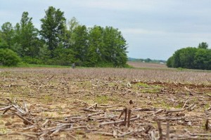 氣候變暖後，農作物的生長也同樣受到衝擊。（圖源：Getty Images）