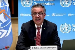 世衛組織總幹事譚德塞。（圖源：路透社）