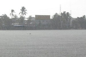 連日來，九龍江平原區域的大面積強降雨已有助增加大量淡水資源，使堅江省鄰近的若干條河段鹹度降低。（示意圖源：互聯網）