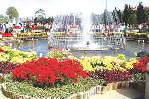 大勒市獲選為節日度假好去處