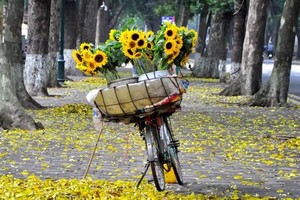 （示意圖源：互聯網） 