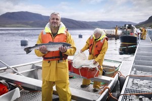 （示意圖源：互聯網） 