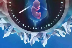 （示意圖源：互聯網） 