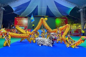 海南聯友龍獅團榮獲雙冠軍