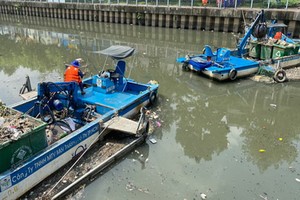 市都市環境一成員有限責任公司的工人在饒祿-氏藝涌打撈死魚。