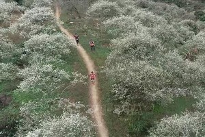 運動員正在賽中。（圖源：互聯網）