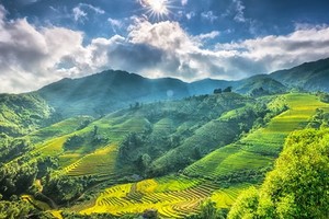 德國媒體介紹越南特色旅遊景點