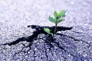 （示意圖源：互聯網） 