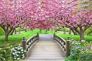 （示意圖源：互聯網） 