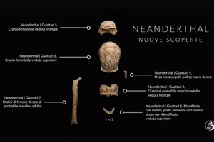 意大利羅馬南部的瓜塔里洞穴中出土9個尼安德特人的遺骸化石。（圖源：MIC）