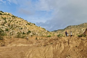 項目中的造林面積。（圖源：保德）