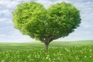 （示意圖源：互聯網） 