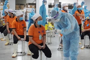 醫護人員正給北江省工業區工人採樣。（圖源：何明）