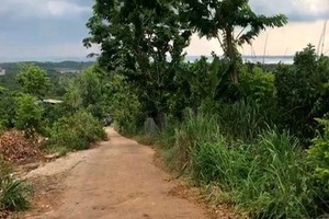 現在，治安湖區域的土地不再如之前般多人爭相購地。