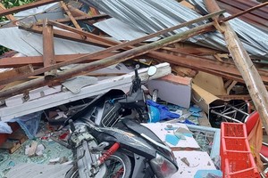 永隆省多間民房倒塌被掀頂