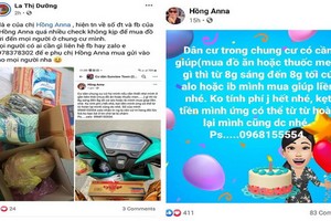 阮氏紅蓉與羅氏養在社交網站上刊登關於代為購物的內容。（截屏圖片）