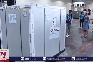 新一批 28.8 萬劑新冠疫苗運抵越南。（圖源：VNews視頻截圖）