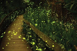 （示意圖源：互聯網） 