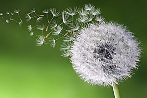 （示意圖源：互聯網） 