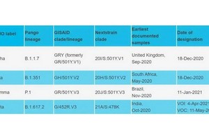 世衛改用希臘字母命名變異新冠病毒。（圖源：互聯網）
