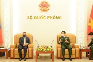 促進越菲及越新戰略合作夥伴關係