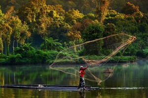 印度尼西亞的一名男子在森林湖泊上撒網捕魚。（圖源：聯合國）